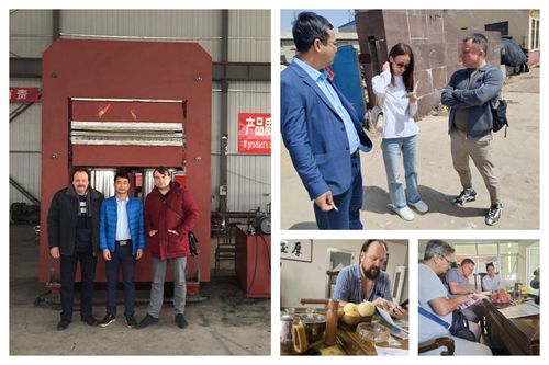 Последние решения компании о Европейские клиенты приобрели резиноформовую вулканизирующую машину